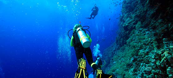buceo-hotel-lodomar