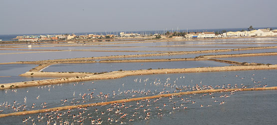 playas-parque-hotel-lodomar